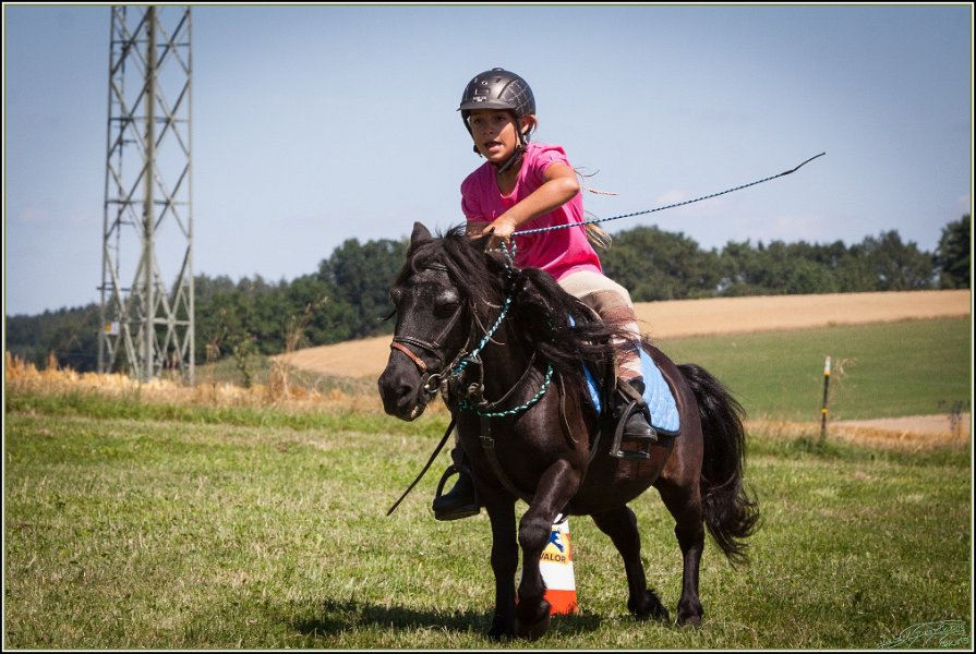 Mounted Games 130